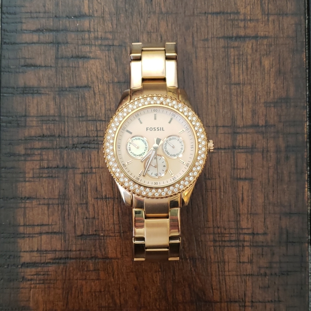Fossil Watch